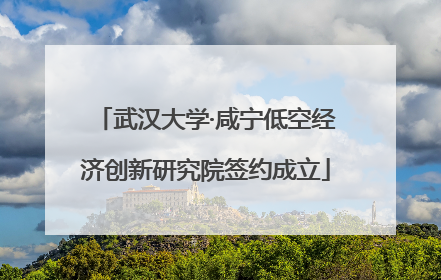 武汉大学·咸宁低空经济创新研究院签约成立