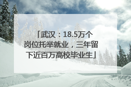 武汉：18.5万个岗位托举就业，三年留下近百万高校毕业生