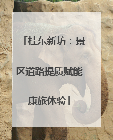 桂东新坊：景区道路提质赋能康旅体验