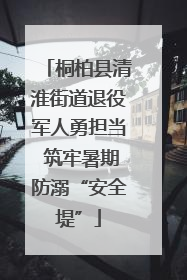 桐柏县清淮街道退役军人勇担当 筑牢暑期防溺“安全堤”