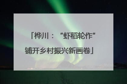 桦川：“虾稻轮作”铺开乡村振兴新画卷
