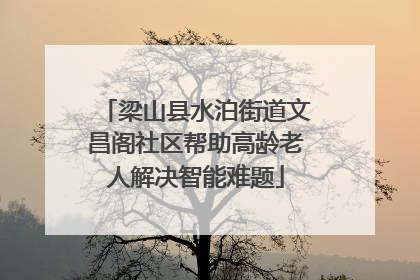 梁山县水泊街道文昌阁社区帮助高龄老人解决智能难题