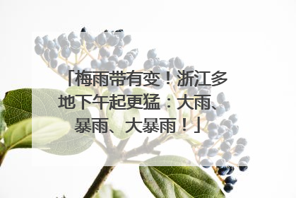 梅雨带有变！浙江多地下午起更猛：大雨、暴雨、大暴雨！