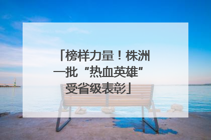 榜样力量！株洲一批“热血英雄”受省级表彰
