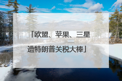 欧盟、苹果、三星遭特朗普关税大棒