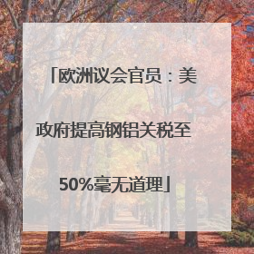 欧洲议会官员：美政府提高钢铝关税至50%毫无道理