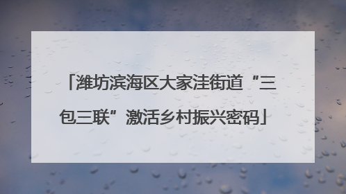 潍坊滨海区大家洼街道“三包三联”激活乡村振兴密码