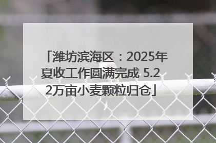 潍坊滨海区：2025年夏收工作圆满完成 5.22万亩小麦颗粒归仓