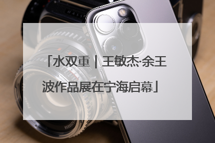 水双重｜王敏杰·余王波作品展在宁海启幕