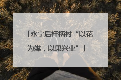永宁后杆柄村“以花为媒，以果兴业”
