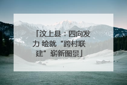 汶上县：四向发力 绘就“跨村联建”崭新图景