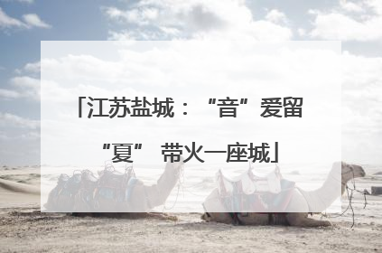 江苏盐城：“音”爱留“夏” 带火一座城