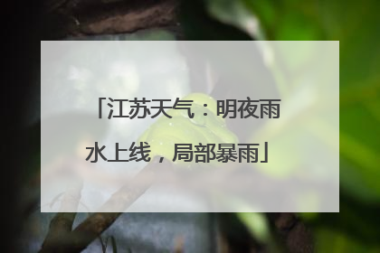 江苏天气：明夜雨水上线，局部暴雨