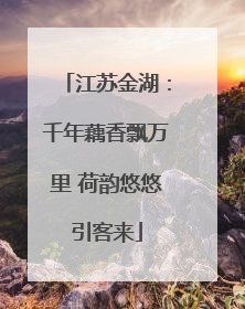 江苏金湖：千年藕香飘万里 荷韵悠悠引客来