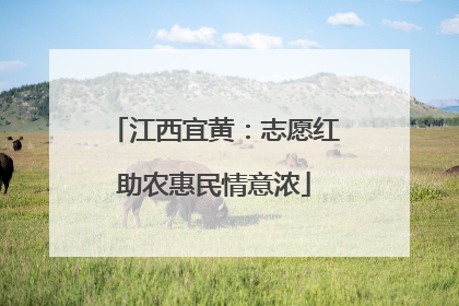 江西宜黄：志愿红助农惠民情意浓