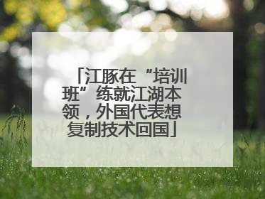 江豚在“培训班”练就江湖本领，外国代表想复制技术回国