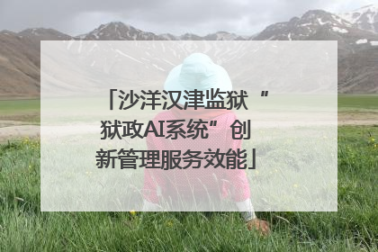沙洋汉津监狱“狱政AI系统”创新管理服务效能