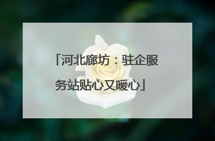 河北廊坊：驻企服务站贴心又暖心