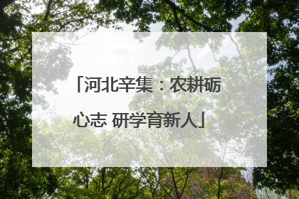 河北辛集：农耕砺心志 研学育新人