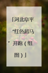 河北阜平“红色超马”开跑（组图）