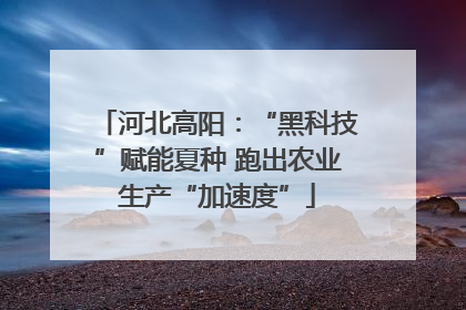 河北高阳：“黑科技”赋能夏种 跑出农业生产“加速度”