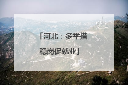 河北：多举措稳岗促就业