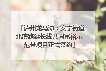 泸州龙马潭：安宁街道北滨路延长线共同富裕示范带项目正式签约