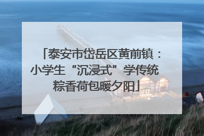 泰安市岱岳区黄前镇：小学生“沉浸式”学传统 粽香荷包暖夕阳