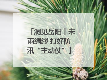 洞见岳阳丨未雨绸缪 打好防汛“主动仗”