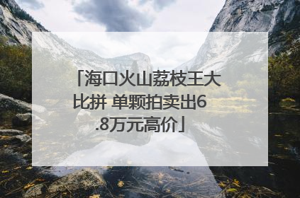 海口火山荔枝王大比拼 单颗拍卖出6.8万元高价