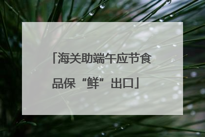 海关助端午应节食品保“鲜”出口