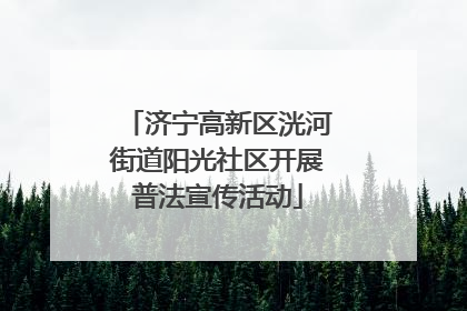 济宁高新区洸河街道阳光社区开展普法宣传活动