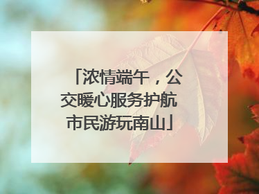 浓情端午，公交暖心服务护航市民游玩南山