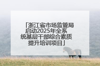 浙江省市场监管局启动2025年全系统基层干部综合素质提升培训项目