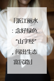 浙江丽水：念好绿色“山字经”，闯出生态富民路