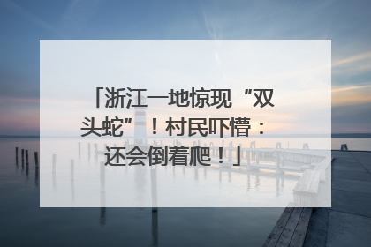 浙江一地惊现“双头蛇”！村民吓懵：还会倒着爬！