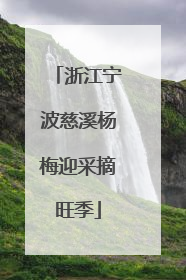 浙江宁波慈溪杨梅迎采摘旺季
