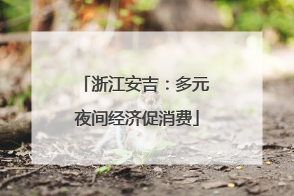 浙江安吉：多元夜间经济促消费