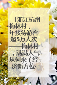 浙江杭州梅林村，一年接待游客超5万人次——梅林村，满满人气从何来（经济新方位·农村消费观察）