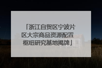 浙江自贸区宁波片区大宗商品资源配置枢纽研究基地揭牌