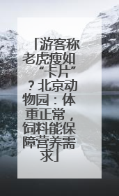 游客称老虎瘦如“卡片”？北京动物园：体重正常，饲料能保障营养需求