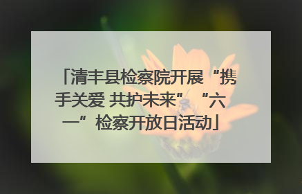 清丰县检察院开展“携手关爱 共护未来”“六一”检察开放日活动