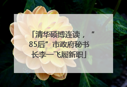 清华硕博连读，“85后”市政府秘书长李一飞履新职