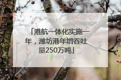 港航一体化实施一年，潍坊港年增吞吐量250万吨