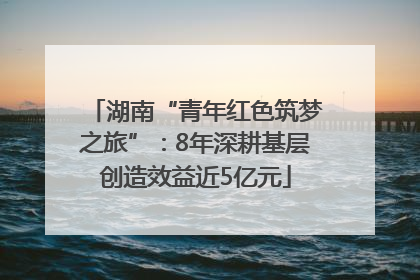 湖南“青年红色筑梦之旅”：8年深耕基层创造效益近5亿元