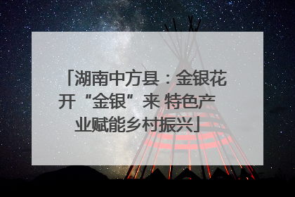 湖南中方县：金银花开“金银”来 特色产业赋能乡村振兴