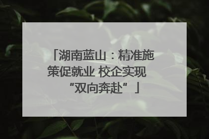 湖南蓝山：精准施策促就业 校企实现“双向奔赴”