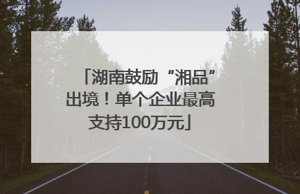 湖南鼓励“湘品”出境！单个企业最高支持100万元