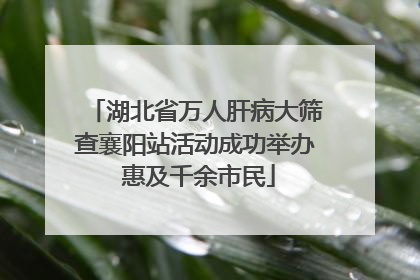 湖北省万人肝病大筛查襄阳站活动成功举办 惠及千余市民