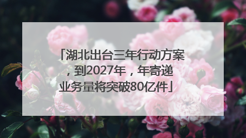 湖北出台三年行动方案，到2027年，年寄递业务量将突破80亿件